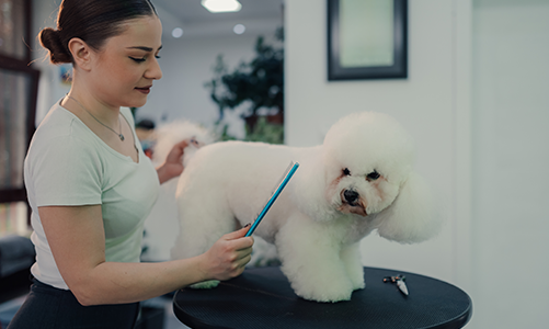 공지사항이미지3