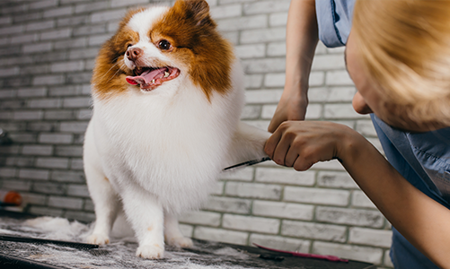 공지사항이미지3