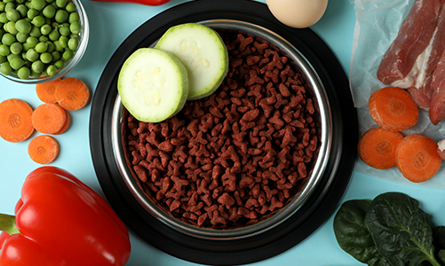 공지사항이미지1