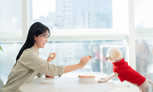 공지사항이미지3