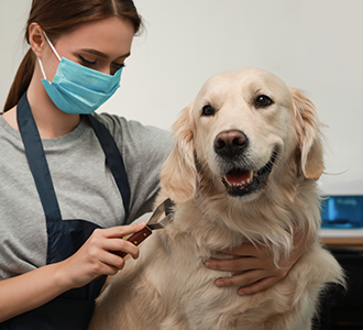 공지사항이미지2