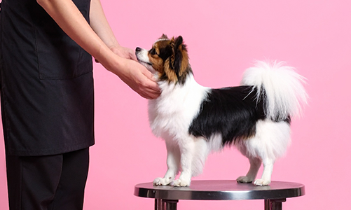 공지사항이미지2